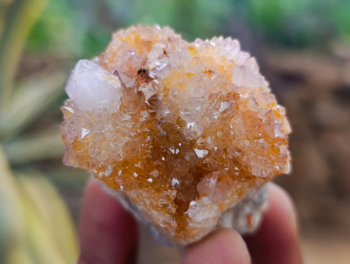 Natural Mix of African Minerals and Crystals Set of 12 x 1 From Southern Africa