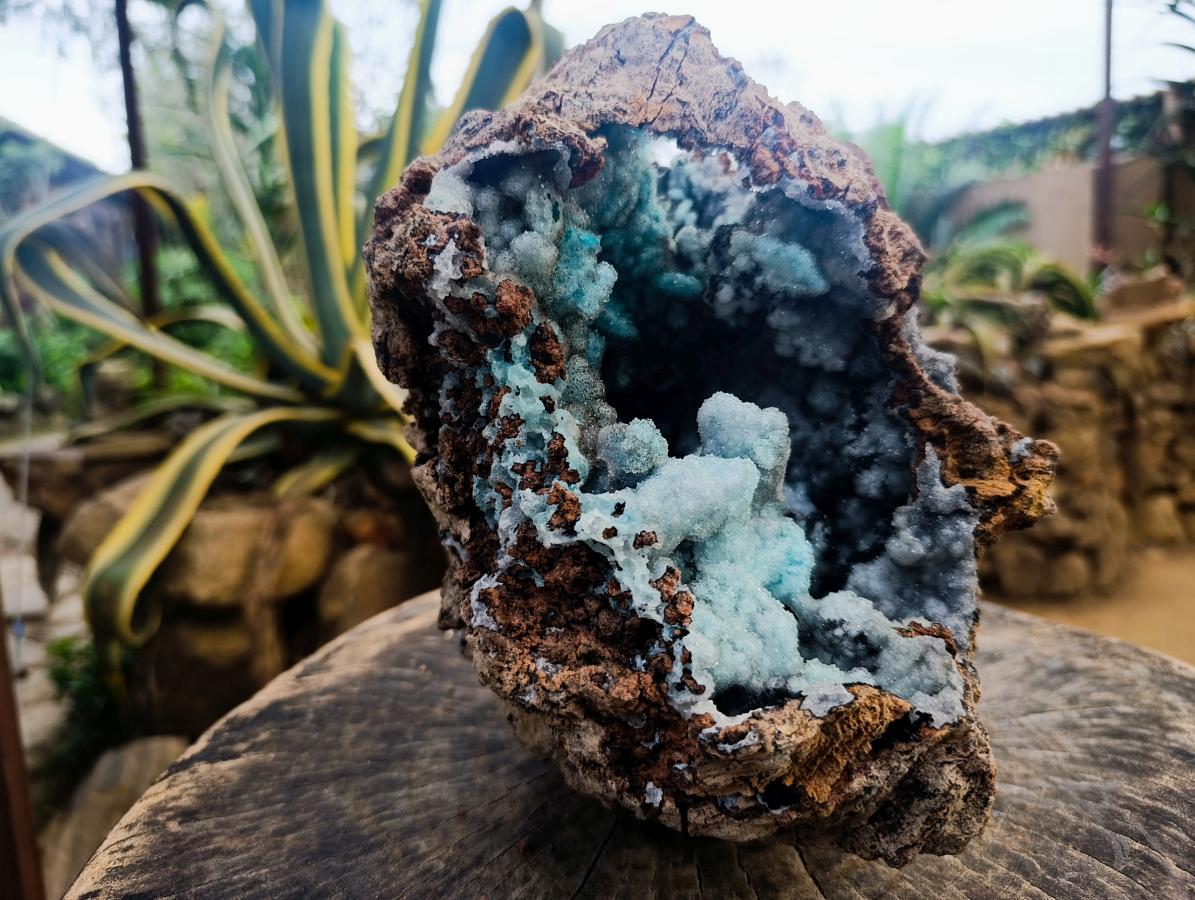 Natural XL Drusy Coated Chrysocolla with Ball Malachite Museum Specimen x 1 From Lupoto Mine, Congo