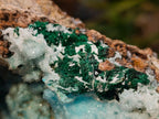 Natural XL Drusy Coated Chrysocolla with Ball Malachite Museum Specimen x 1 From Lupoto Mine, Congo