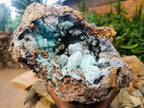 Natural XL Drusy Coated Chrysocolla with Ball Malachite Museum Specimen x 1 From Lupoto Mine, Congo
