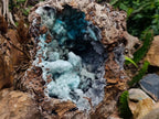 Natural XL Drusy Coated Chrysocolla with Ball Malachite Museum Specimen x 1 From Lupoto Mine, Congo