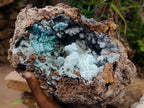 Natural XL Drusy Coated Chrysocolla with Ball Malachite Museum Specimen x 1 From Lupoto Mine, Congo
