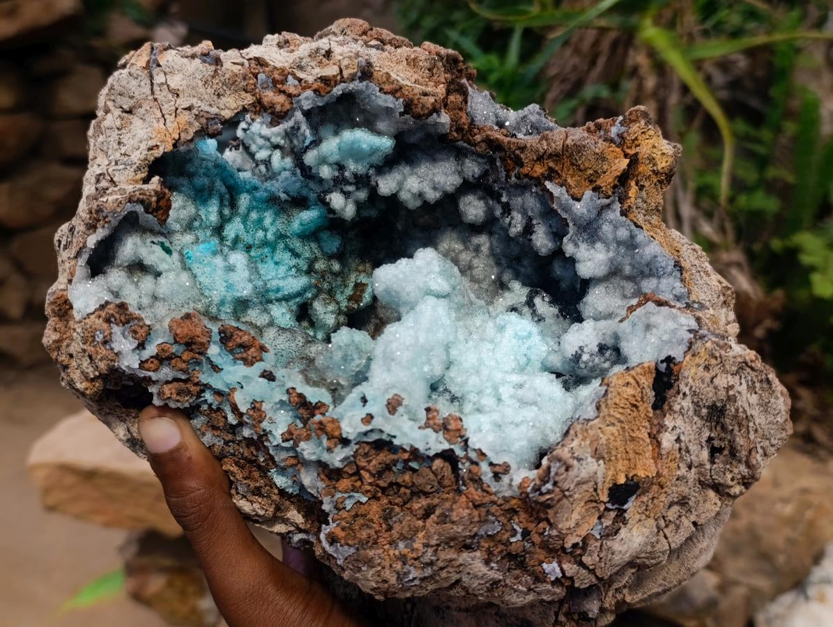 Natural XL Drusy Coated Chrysocolla with Ball Malachite Museum Specimen x 1 From Lupoto Mine, Congo