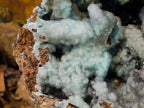 Natural XL Drusy Coated Chrysocolla with Ball Malachite Museum Specimen x 1 From Lupoto Mine, Congo