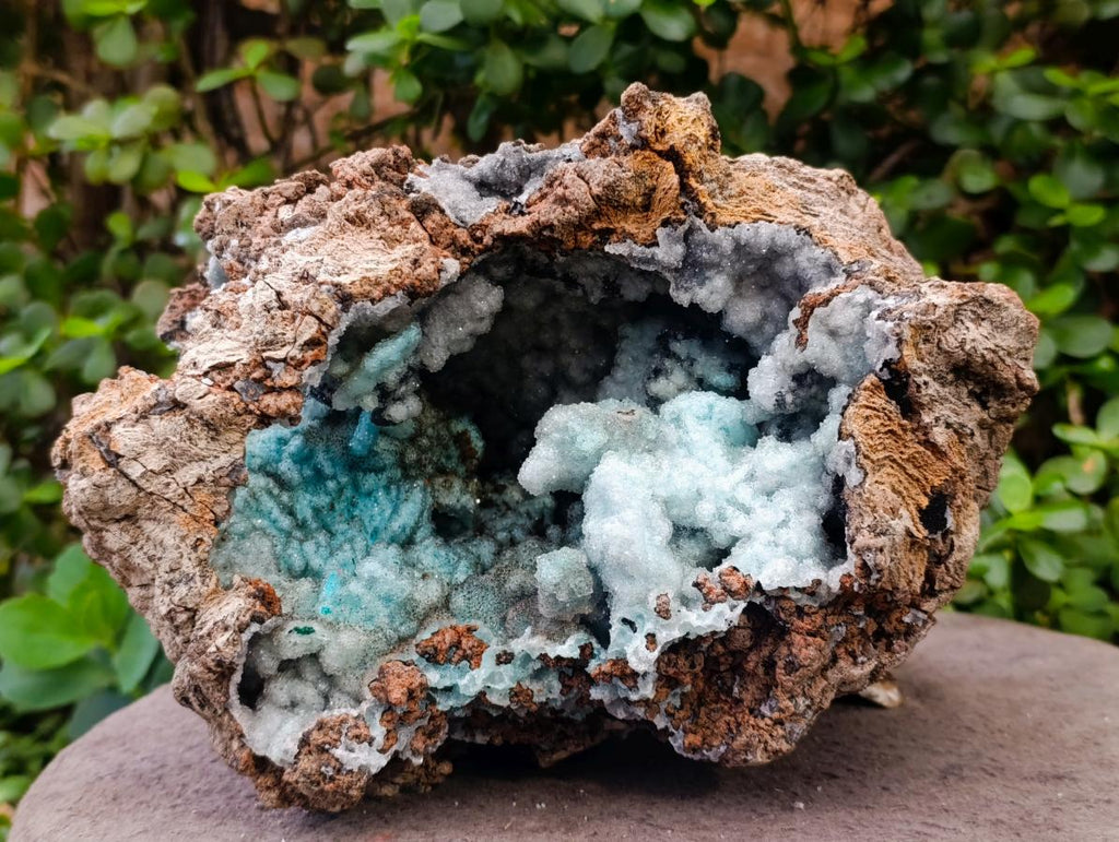 Natural XL Drusy Coated Chrysocolla with Ball Malachite Museum Specimen x 1 From Lupoto Mine, Congo