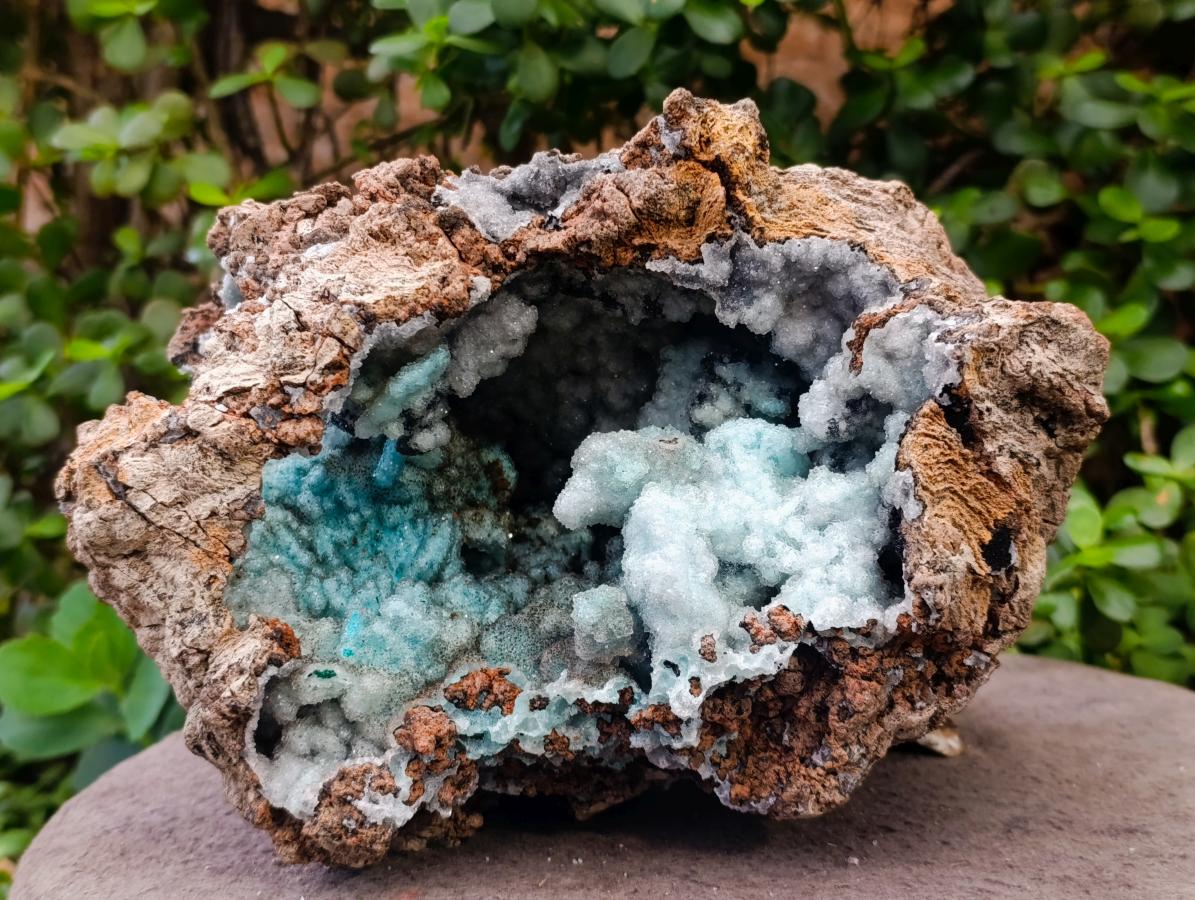 Natural XL Drusy Coated Chrysocolla with Ball Malachite Museum Specimen x 1 From Lupoto Mine, Congo