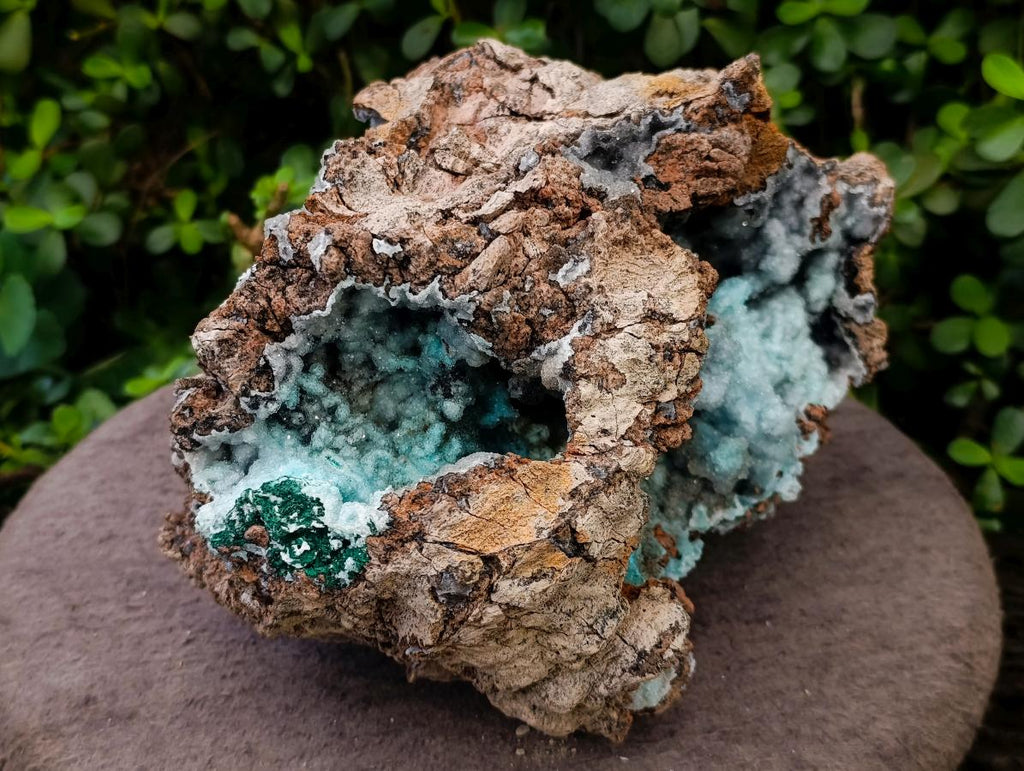 Natural XL Drusy Coated Chrysocolla with Ball Malachite Museum Specimen x 1 From Lupoto Mine, Congo