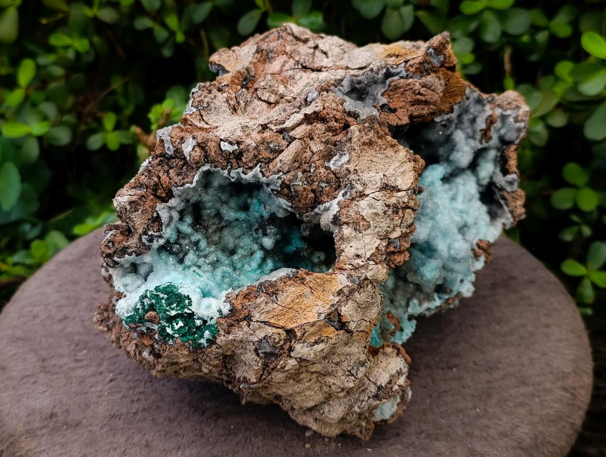 Natural XL Drusy Coated Chrysocolla with Ball Malachite Museum Specimen x 1 From Lupoto Mine, Congo