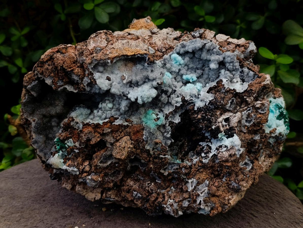 Natural XL Drusy Coated Chrysocolla with Ball Malachite Museum Specimen x 1 From Lupoto Mine, Congo