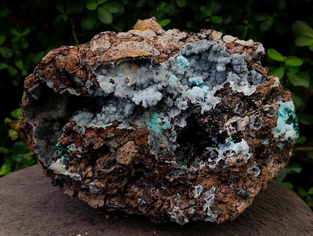 Natural XL Drusy Coated Chrysocolla with Ball Malachite Museum Specimen x 1 From Lupoto Mine, Congo