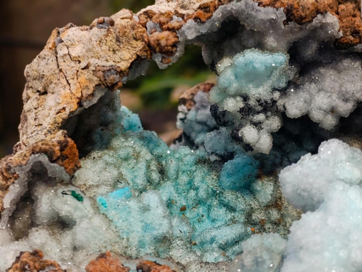 Natural XL Drusy Coated Chrysocolla with Ball Malachite Museum Specimen x 1 From Lupoto Mine, Congo