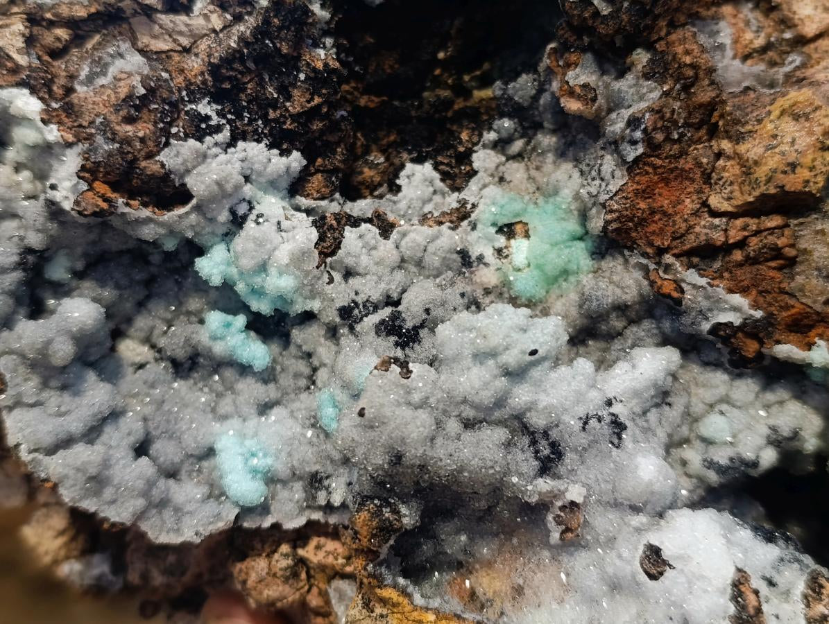 Natural XL Drusy Coated Chrysocolla with Ball Malachite Museum Specimen x 1 From Lupoto Mine, Congo