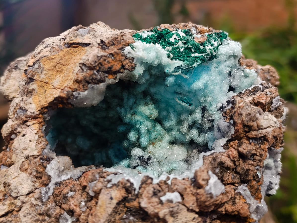 Natural XL Drusy Coated Chrysocolla with Ball Malachite Museum Specimen x 1 From Lupoto Mine, Congo