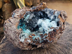 Natural XL Drusy Coated Chrysocolla with Ball Malachite Museum Specimen x 1 From Lupoto Mine, Congo