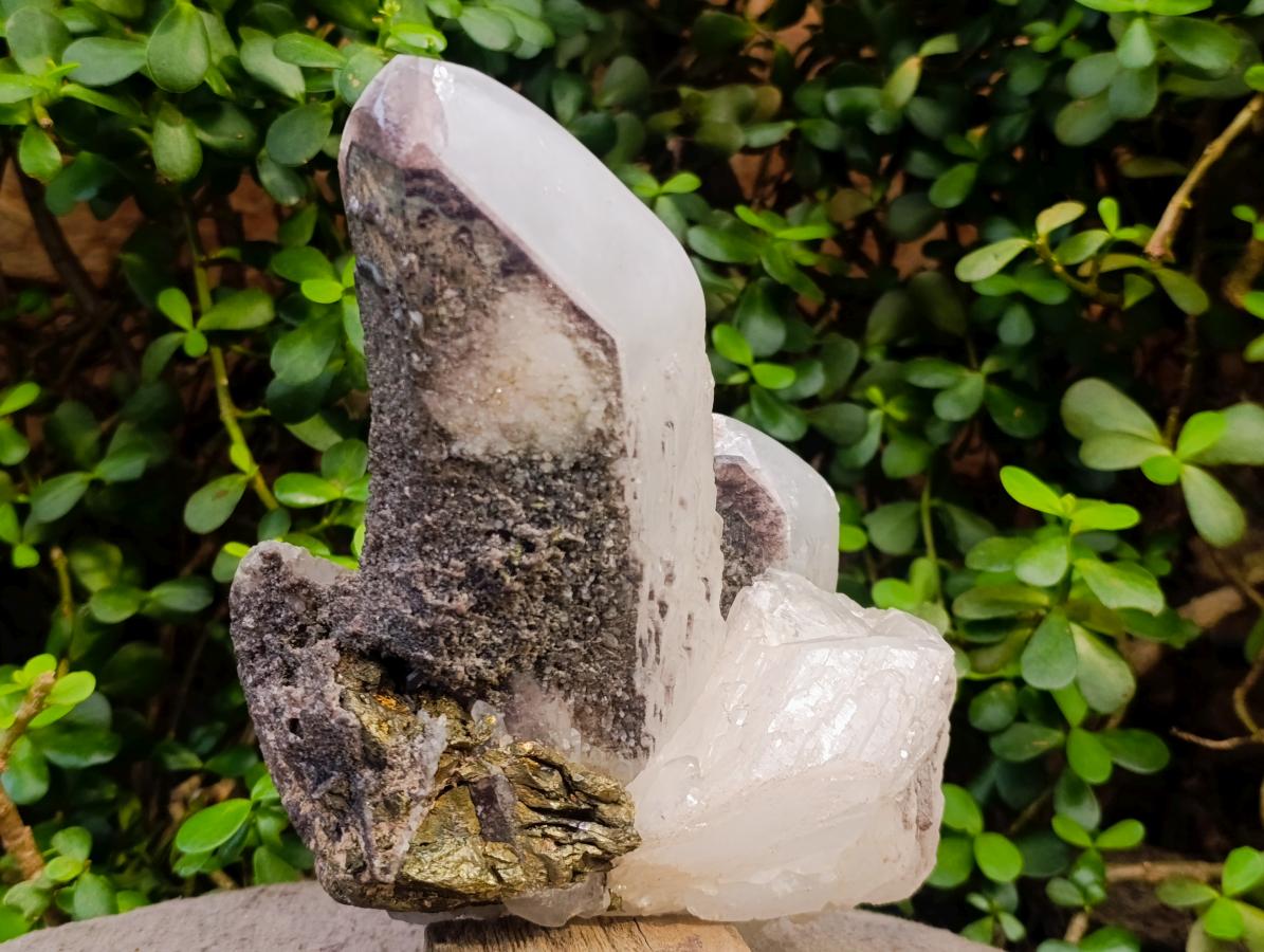 Polished Large Rare Messina Crystal Cluster with Epidote and Chalcopyrite x 1 From Messina Mine, South Africa
