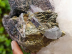 Polished Large Rare Messina Crystal Cluster with Epidote and Chalcopyrite x 1 From Messina Mine, South Africa