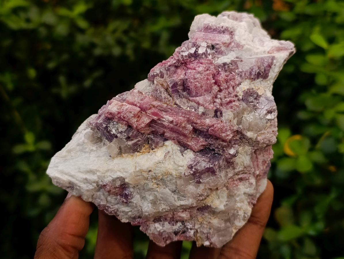 Natural Rubellite Pink Tourmaline Crystals in Feldspar and Quartz Schist x 1 From Karibib, Namibia