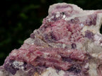 Natural Rubellite Pink Tourmaline Crystals in Feldspar and Quartz Schist x 1 From Karibib, Namibia