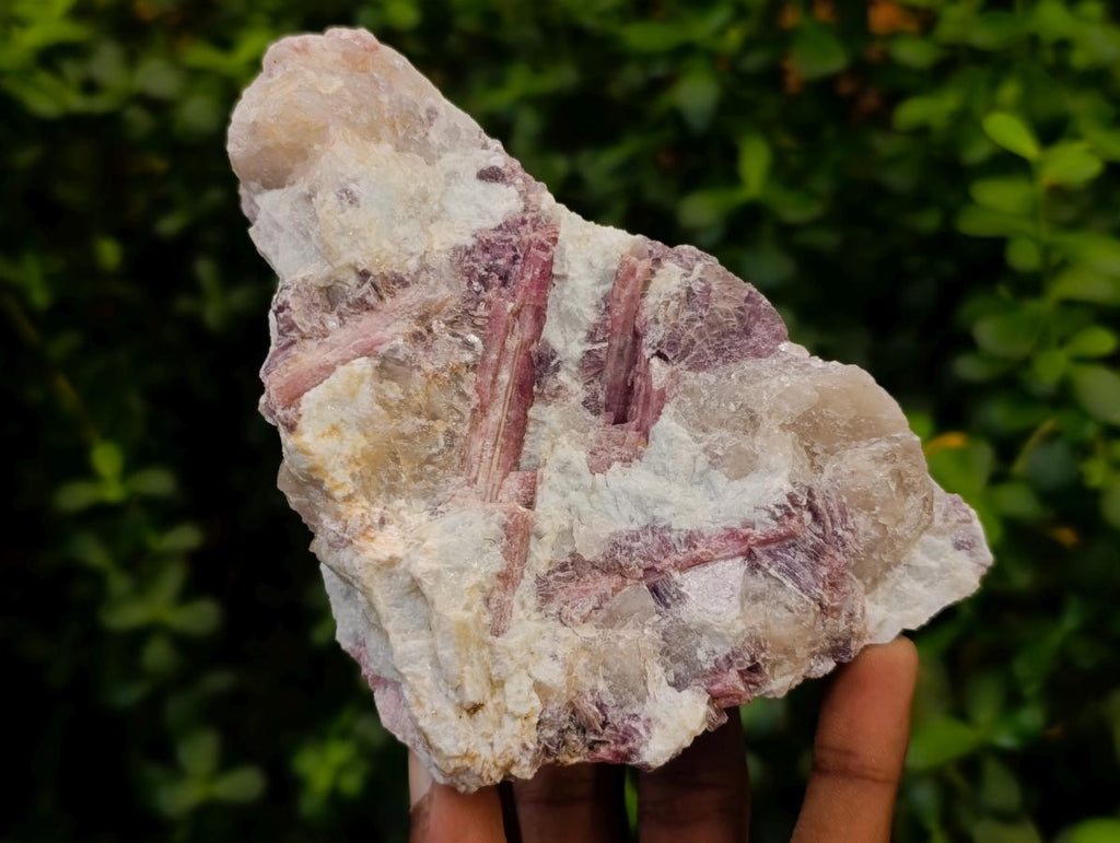 Natural Rubellite Pink Tourmaline Crystals in Feldspar and Quartz Schist x 1 From Karibib, Namibia