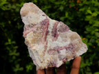 Natural Rubellite Pink Tourmaline Crystals in Feldspar and Quartz Schist x 1 From Karibib, Namibia