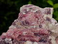 Natural Rubellite Pink Tourmaline Crystals in Feldspar and Quartz Schist x 1 From Karibib, Namibia