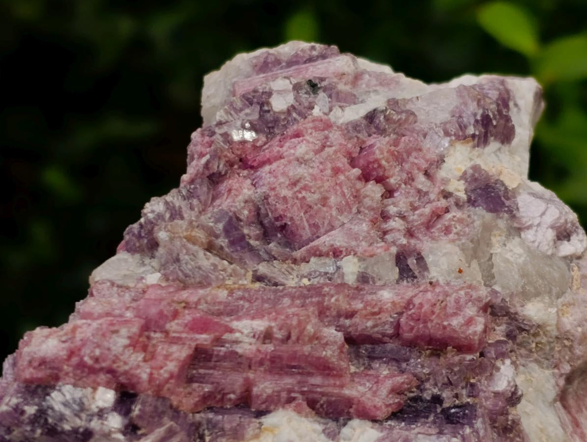 Natural Rubellite Pink Tourmaline Crystals in Feldspar and Quartz Schist x 1 From Karibib, Namibia