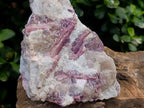 Natural Rubellite Pink Tourmaline Crystals in Feldspar and Quartz Schist x 1 From Karibib, Namibia