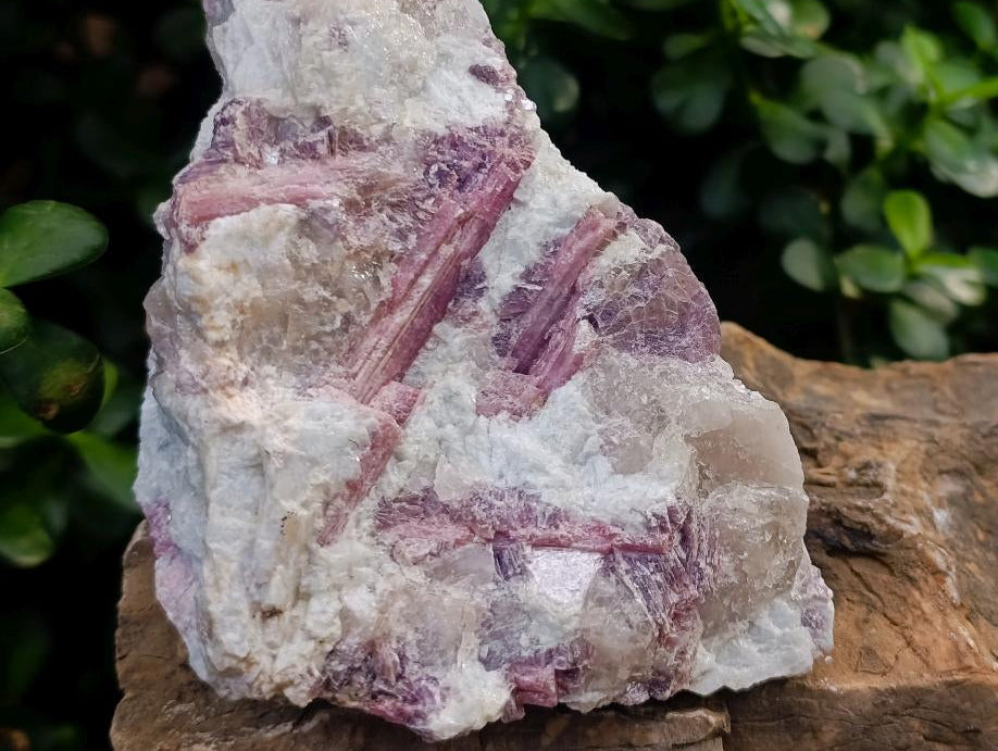 Natural Rubellite Pink Tourmaline Crystals in Feldspar and Quartz Schist x 1 From Karibib, Namibia