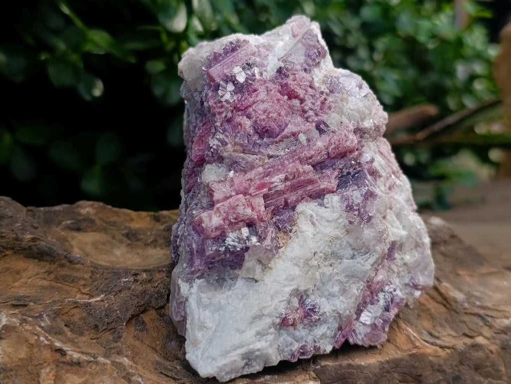 Natural Rubellite Pink Tourmaline Crystals in Feldspar and Quartz Schist x 1 From Karibib, Namibia