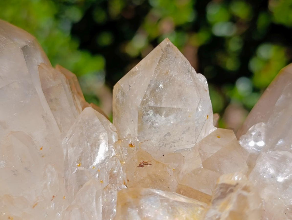 Natural Large Champagne Citrine Quartz Crystal Cluster x 1 From Luena, Congo