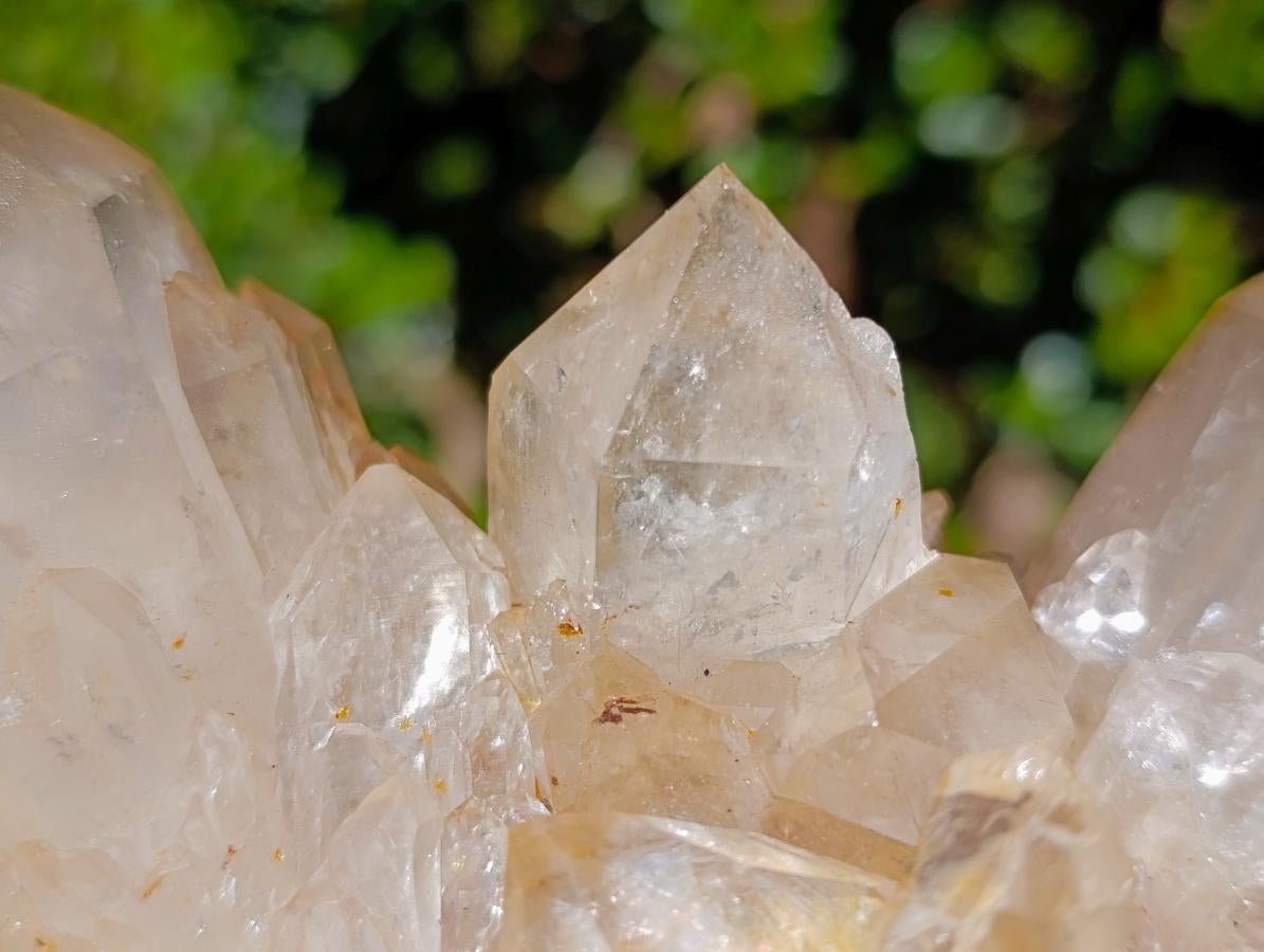 Natural Large Champagne Citrine Quartz Crystal Cluster x 1 From Luena, Congo