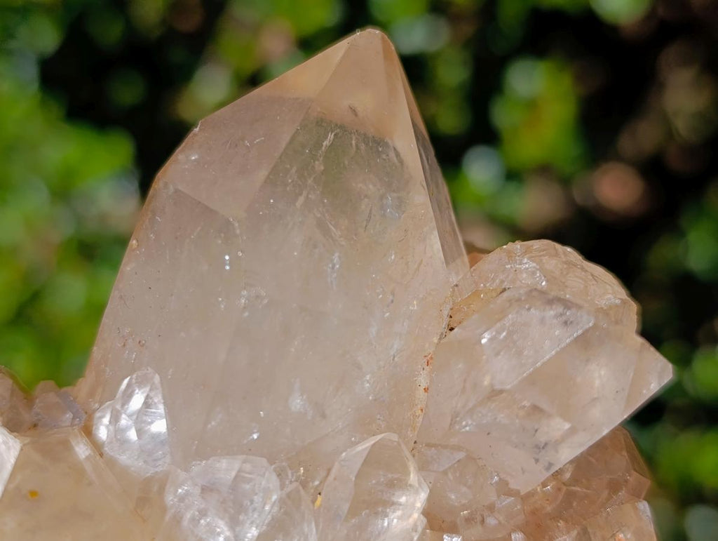 Natural Large Champagne Citrine Quartz Crystal Cluster x 1 From Luena, Congo