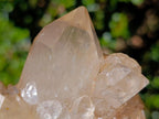 Natural Large Champagne Citrine Quartz Crystal Cluster x 1 From Luena, Congo