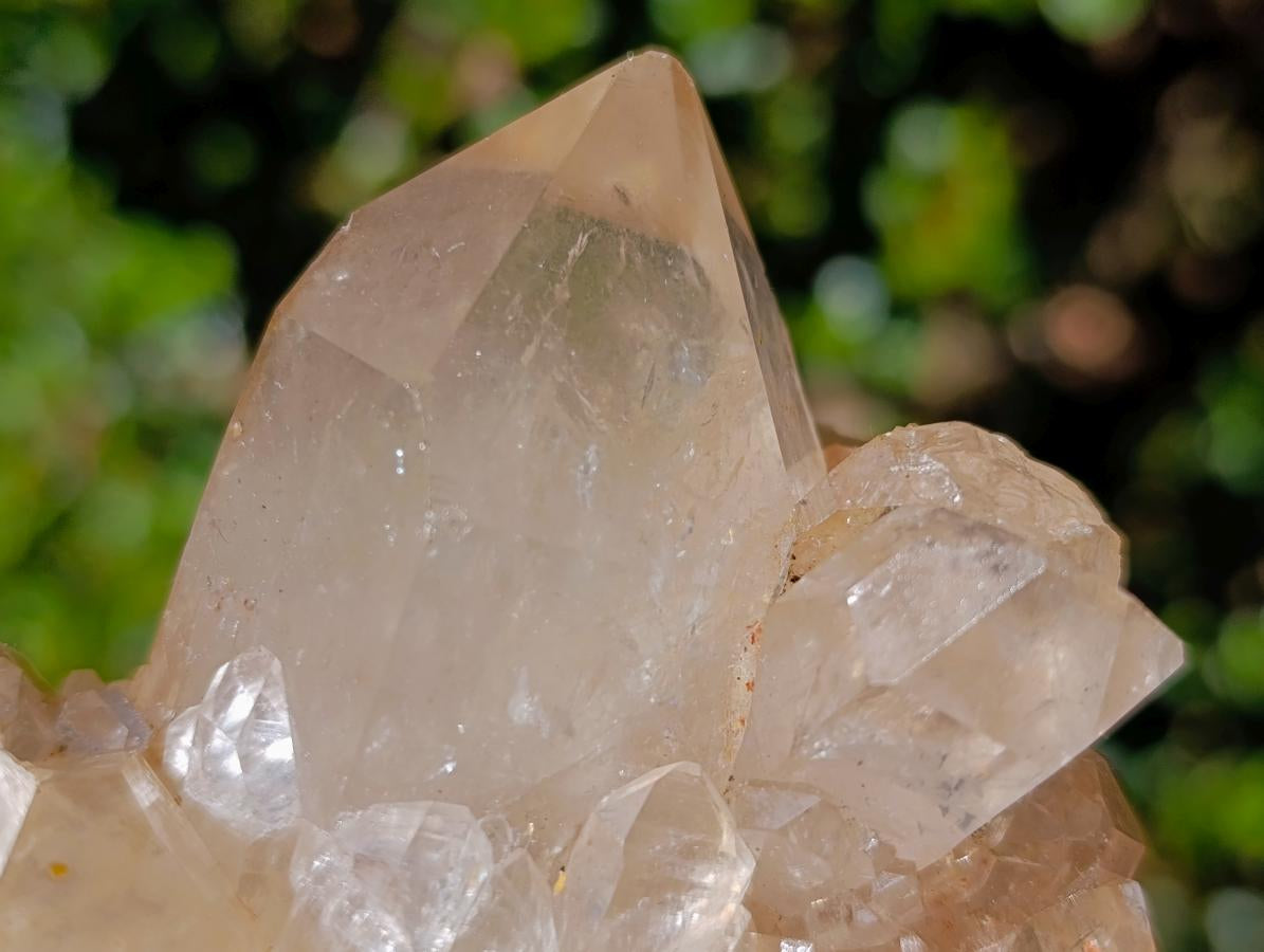 Natural Large Champagne Citrine Quartz Crystal Cluster x 1 From Luena, Congo