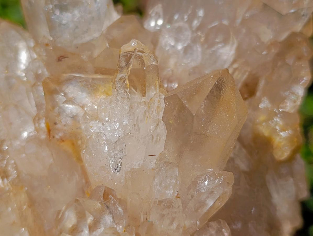 Natural Large Champagne Citrine Quartz Crystal Cluster x 1 From Luena, Congo