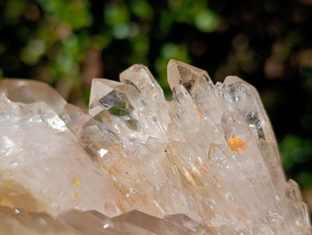 Natural Large Champagne Citrine Quartz Crystal Cluster x 1 From Luena, Congo