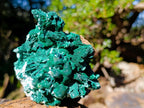 Natural Classic Bladed Malachite Pseudomorph with Associated Minerals Specimen x 1 From Kolwezi, Congo