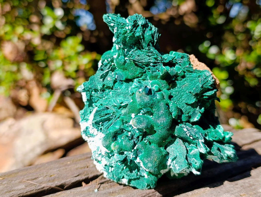 Natural Classic Bladed Malachite Pseudomorph with Associated Minerals Specimen x 1 From Kolwezi, Congo
