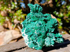 Natural Classic Bladed Malachite Pseudomorph with Associated Minerals Specimen x 1 From Kolwezi, Congo