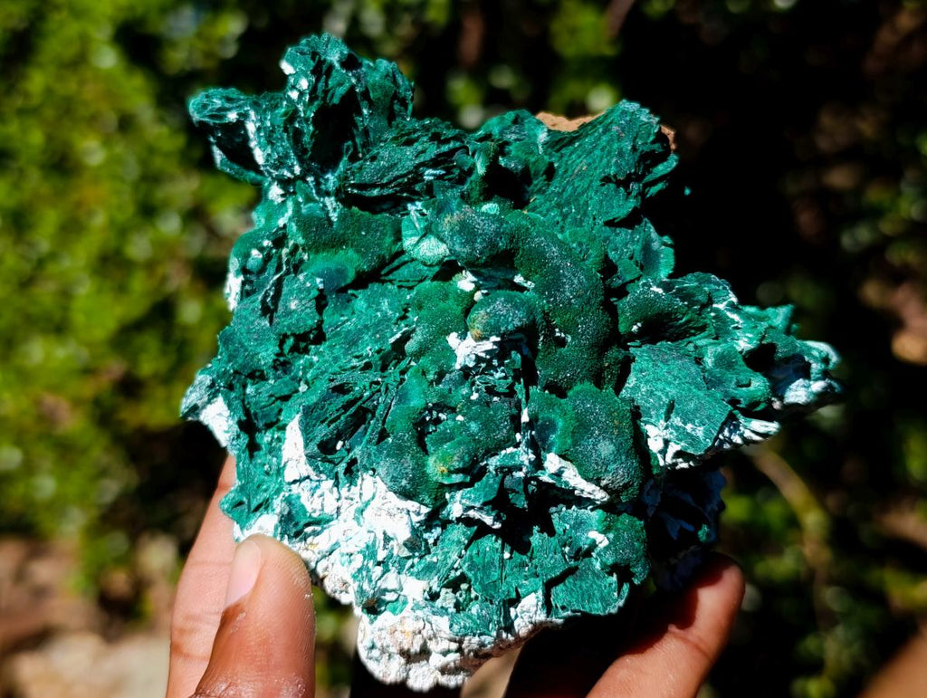 Natural Classic Bladed Malachite Pseudomorph with Associated Minerals Specimen x 1 From Kolwezi, Congo