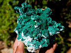 Natural Classic Bladed Malachite Pseudomorph with Associated Minerals Specimen x 1 From Kolwezi, Congo