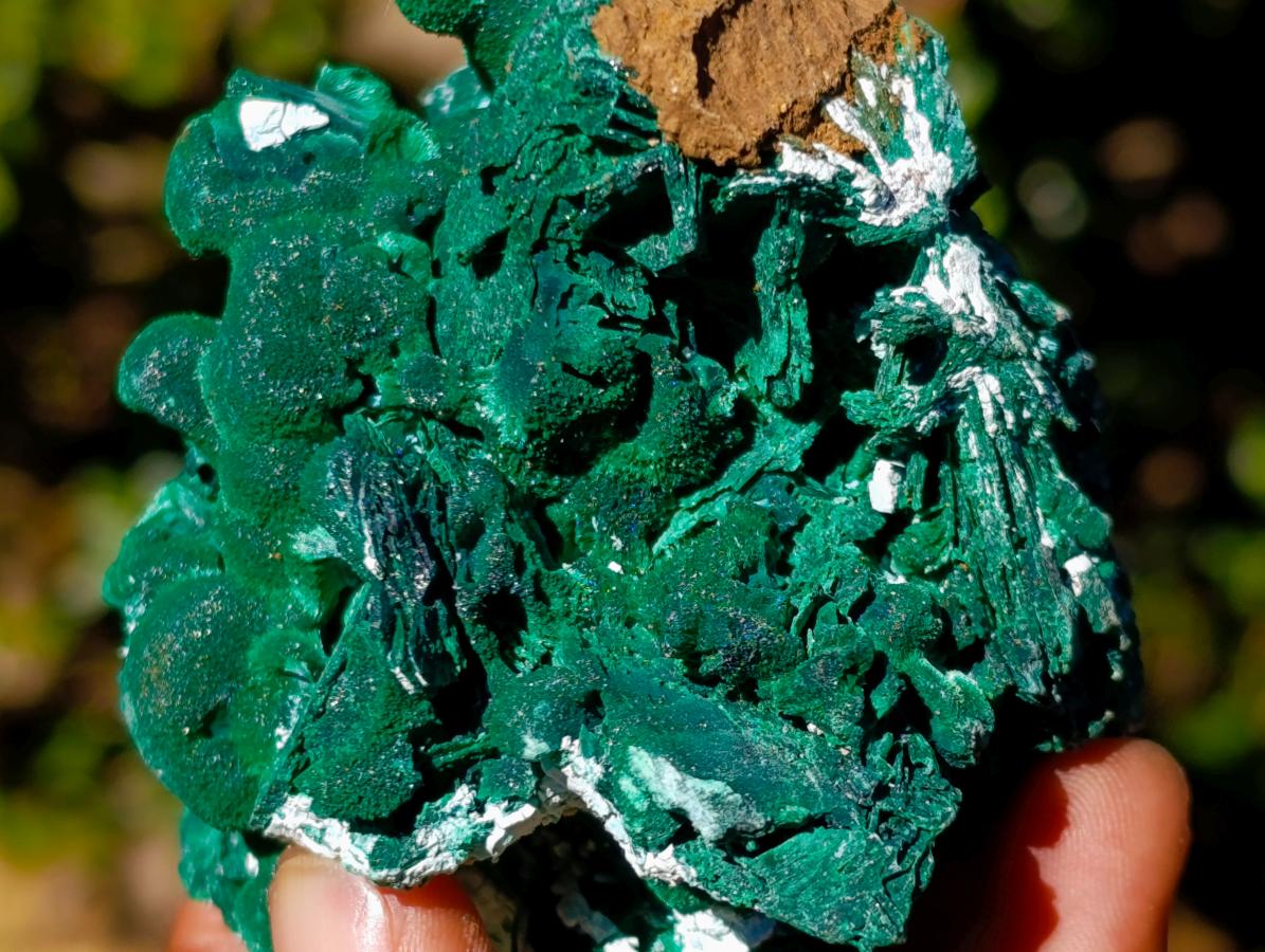 Natural Classic Bladed Malachite Pseudomorph with Associated Minerals Specimen x 1 From Kolwezi, Congo