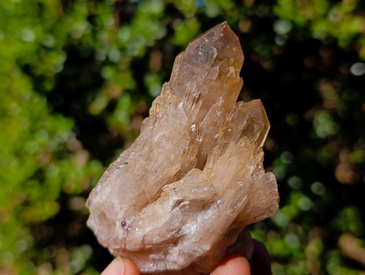 Natural Mix of African Minerals and Crystals Set of 12 x 1 From Southern Africa