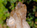 Natural Mix of African Minerals and Crystals Set of 12 x 1 From Southern Africa