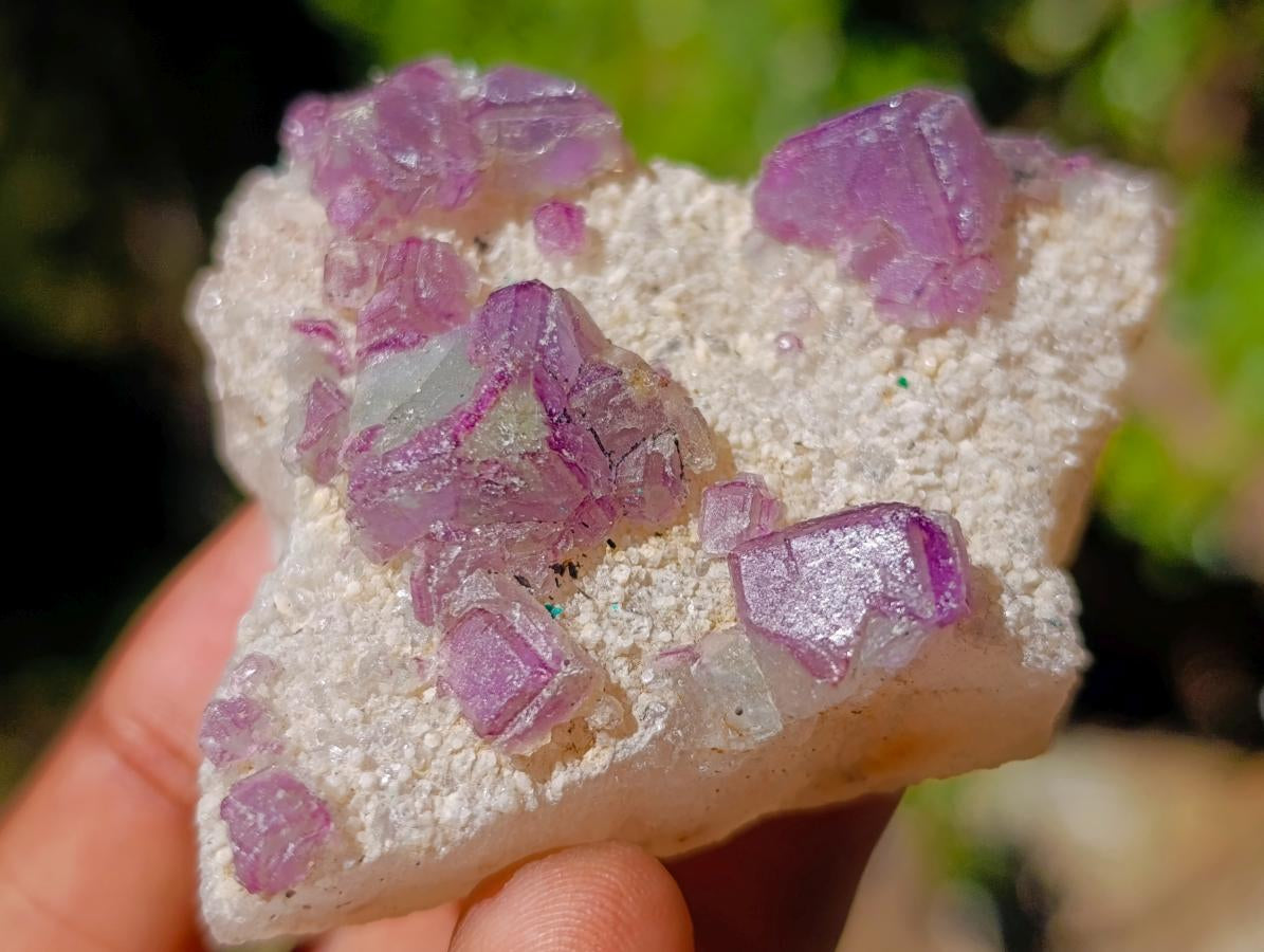 Natural Mix of African Minerals and Crystals Set of 12 x 1 From Southern Africa