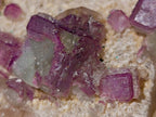 Natural Mix of African Minerals and Crystals Set of 12 x 1 From Southern Africa