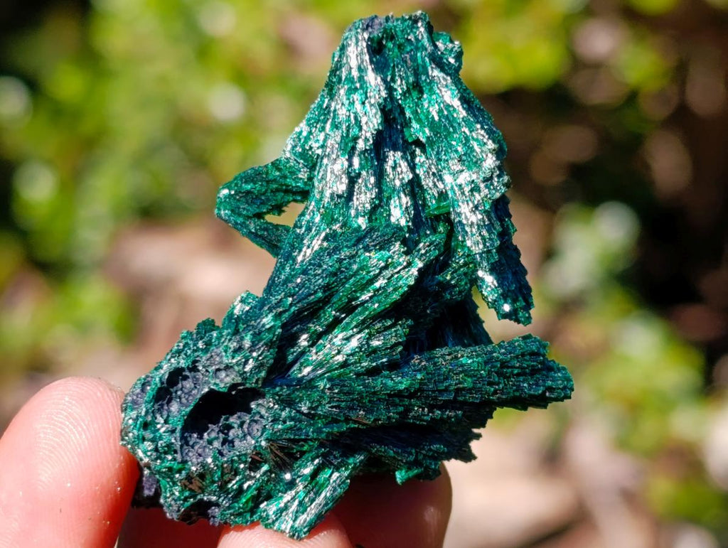 Natural Mix of African Minerals and Crystals Set of 12 x 1 From Southern Africa