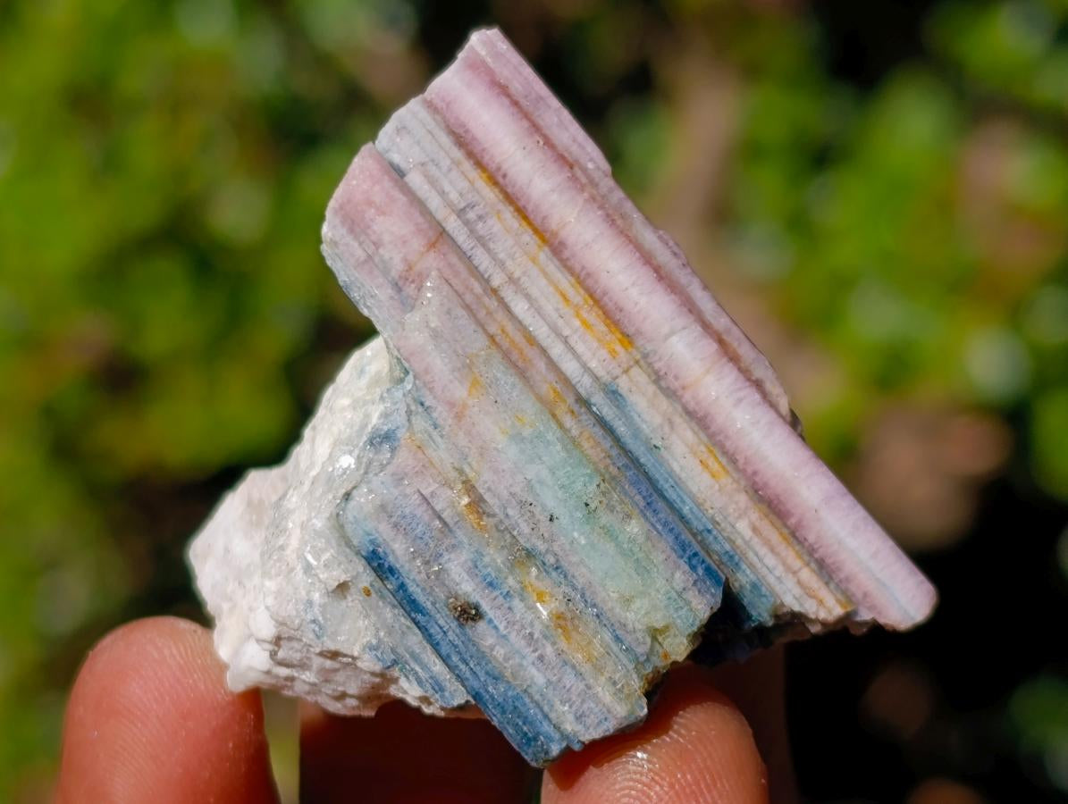 Natural Mix of African Minerals and Crystals Set of 12 x 1 From Southern Africa
