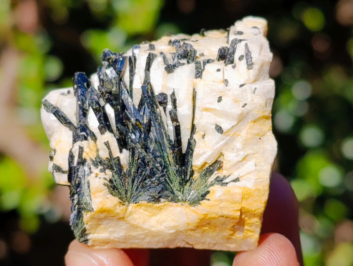 Natural Mix of African Minerals and Crystals Set of 12 x 1 From Southern Africa
