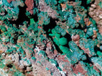 Natural XL Malachite Geode Museum Specimen x 1 From Kolwezi, Congo